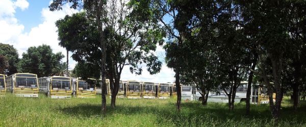 Estacionados lado a lado,  sob as árvores, os ônibus ocupam uma vasta área do lote de 20 mil m². Foto: Chico Sant'Anna